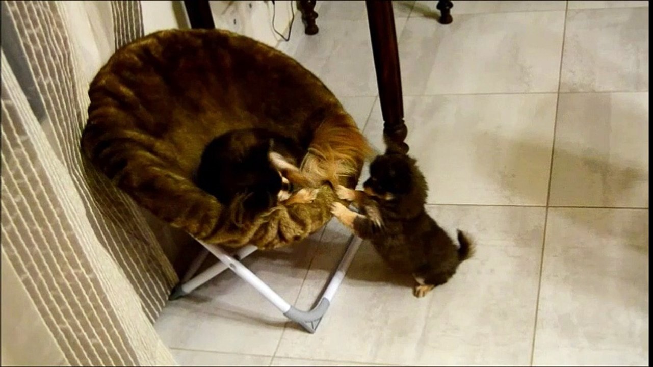 moment complice entre Galice et sa fille Malice 8 semaines