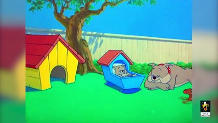 Tom and Jerry - Hic-cup Pup - Episode 82