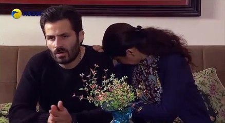 Həyat sən nə qəribəsən (515-ci bölüm)