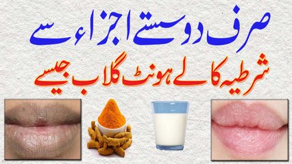 Siya Honton Ko Gulabi Karne Ka Asaan Shartiya Nuskha