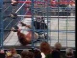 Undertaker rises up out of the ring and pulls Diesel down