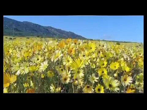 Mectech Process Engineers Pvt. Ltd.