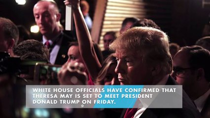 Theresa May to meet Donald Trump at White House on Friday
