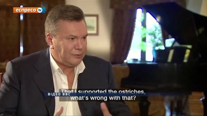 Янукович страус style Подборка лучших COUB