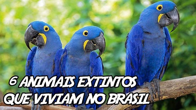6 Animais Extintos fascinantes que viviam no Brasil