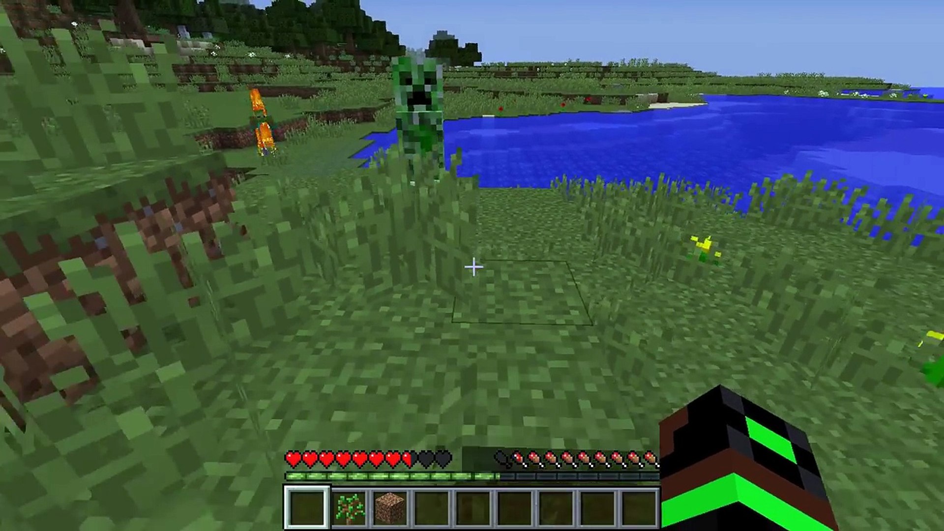 Minecraft | Survival Mode #1 / Friendly Creeper