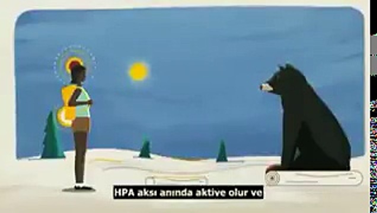 İşte Stres Oluşumu ve Çözüm Yolları