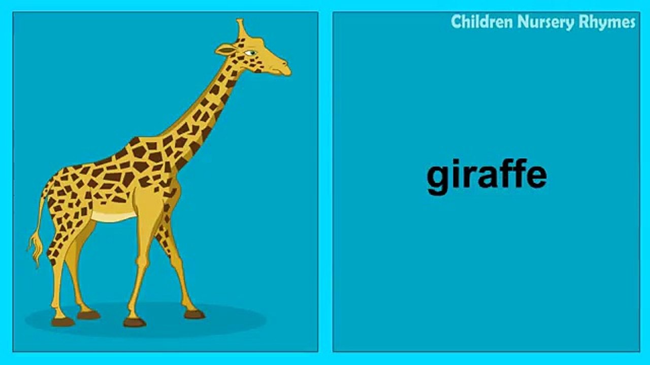 Wild Animals Song - Learn Animals Nursery Rhyme for Kindergarten