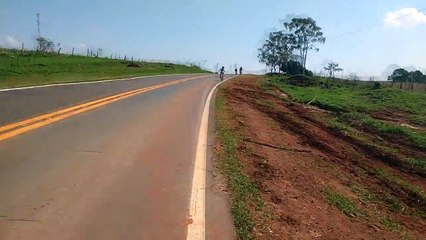 Horto Florestal