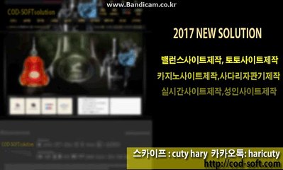 #토토솔루션(17년경력프로그래머,6년경력디자이너) 24시간 직원항시대기