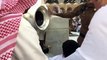 Video of inspirational Qatari teenager Ghanim Al Muftah performing Umrah goes viral