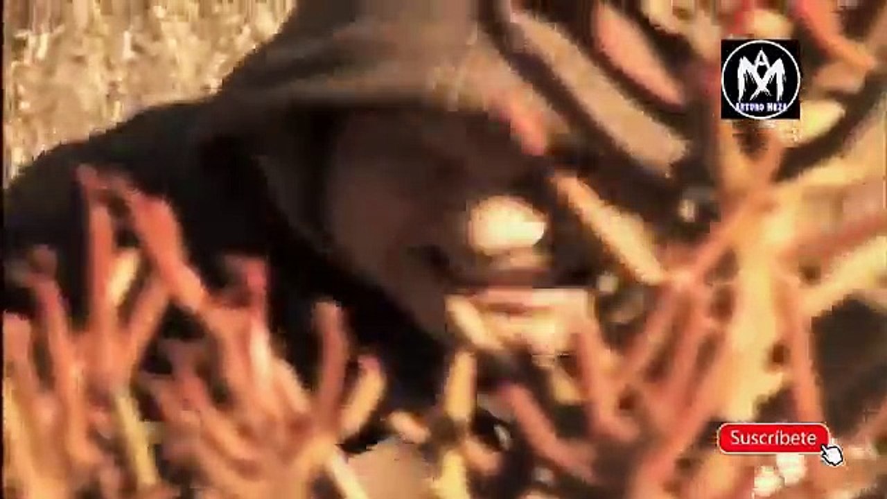 Mil maneras de morir Capitulo 2 HD