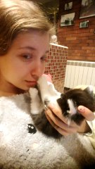 Kitten thinks owner's nose is play toy