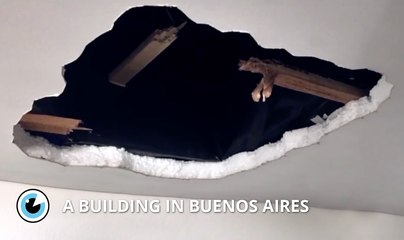 A building in Buenos Aires - Court-Métrage - Mobile Film Festival 2017