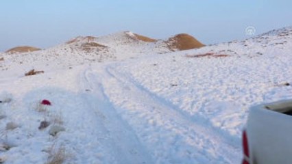 Kızıl Akbabalar Için Doğaya Yiyecek Bırakıldı