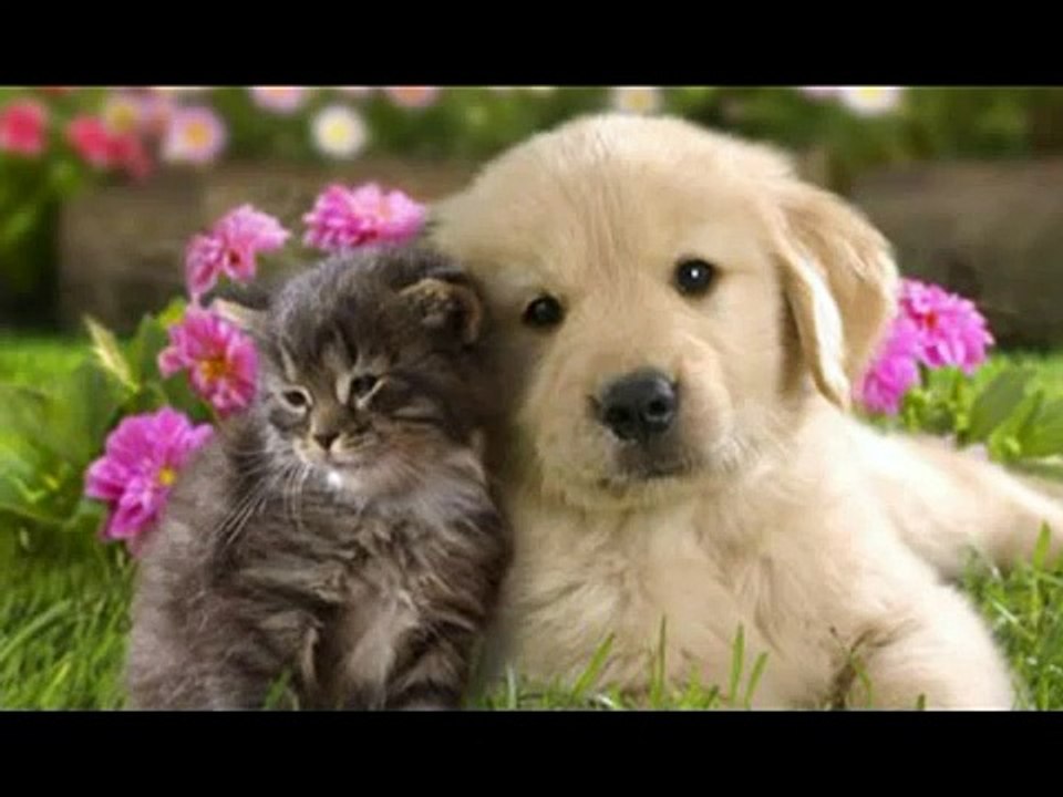 Andre Hazes & Gerard Joling - Blijf Bij Mij-ZvRdgvLSUag-HQ