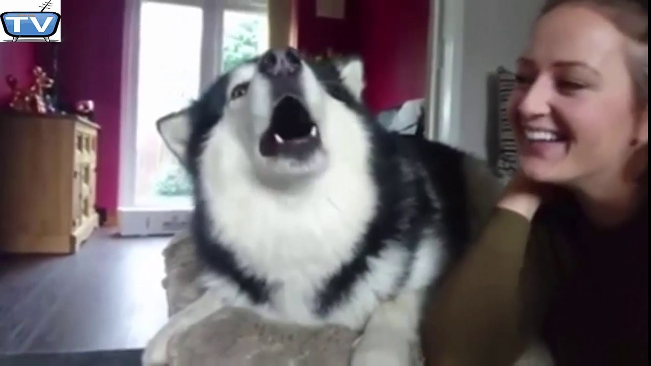 Beautiful girl pets her retriever dog on the Room