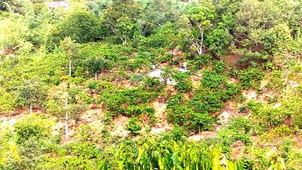 Về Lộc Nam, Bào Lâm, Bảo Lộc, Lâm Đồng - 2016