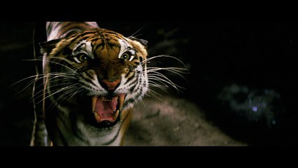 Matthew McConaughey in "Tiger" Clip From Gold