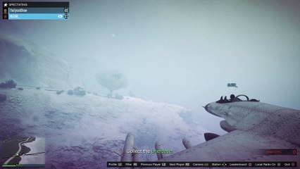 Grand Theft Auto V- Ham tries to land a jet