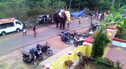 Very Dangerous Actteck On Road Show