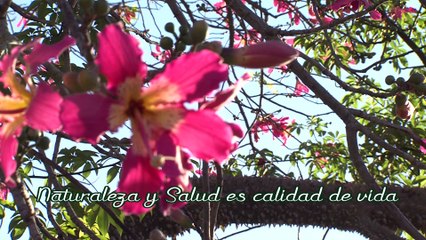 Salud y Belleza Natural video promocional