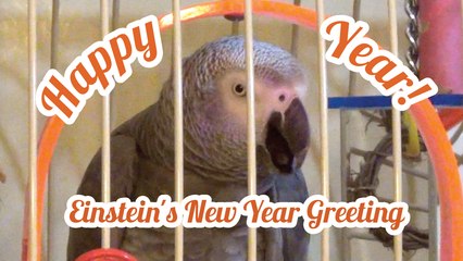 Happy Year! Einstein's New Year Greeting