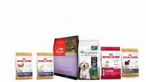 Better And Healthier Pets With Pet’s Delight
