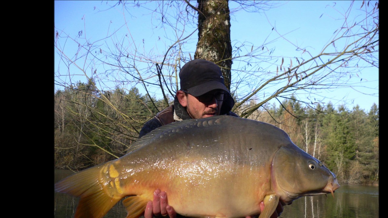 PECHE CARPE SESSION HIVER