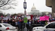 Jared Kushner’s Brother Josh Spotted At D.C. Women’s March