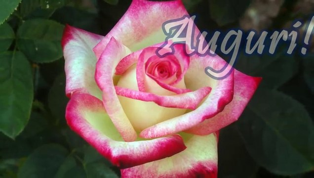 Tanti Auguri di Buon Compleanno