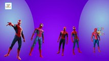 Dancing Spider Man Cartoons | Spider Man Cartoon Animation Finger Family Nursery Rhymes For Children