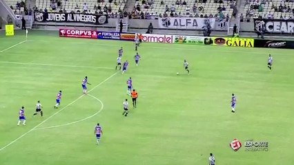 Le meilleur gardien du Brésil est… une mascotte !