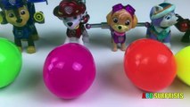 Learn Colors with Silly Putty Slime for Kids Toddlers Children Egg Surprises with Paw Patrol Toys