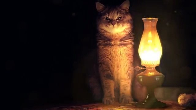 Милый Котенок, Смотреть ВСЕМ!!!