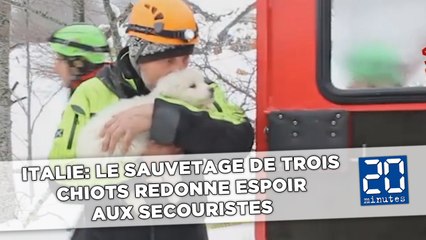 Avalanche en Italie: Le sauvetage de trois chiots redonne espoir aux secouristes