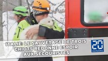 Avalanche en Italie: Le sauvetage de trois chiots redonne espoir aux secouristes