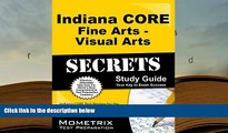 Read Online Indiana CORE Fine Arts - Visual Arts Secrets Study Guide: Indiana CORE Test Review for