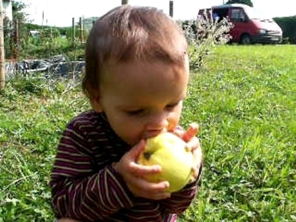 LLewelyn aime les pommes