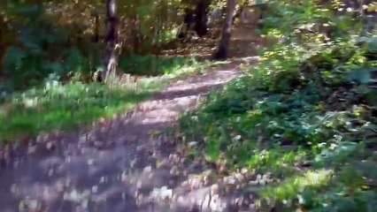 ДЕТЯМ НЕ СМОТРЕТЬ ТОЛЬКО ДЛЯ ВЗРОСЛЫХ Топ ПРИКОЛы Try not to laugh Funniest Fails №206
