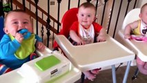 Funny Triplet Babies Laughing Compilation 2014