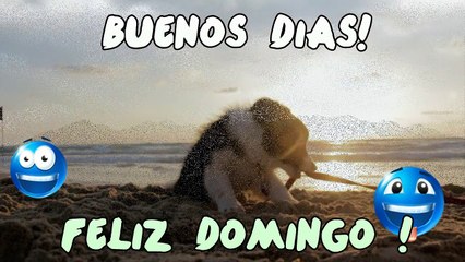 Buenos Dias Feliz Domingo