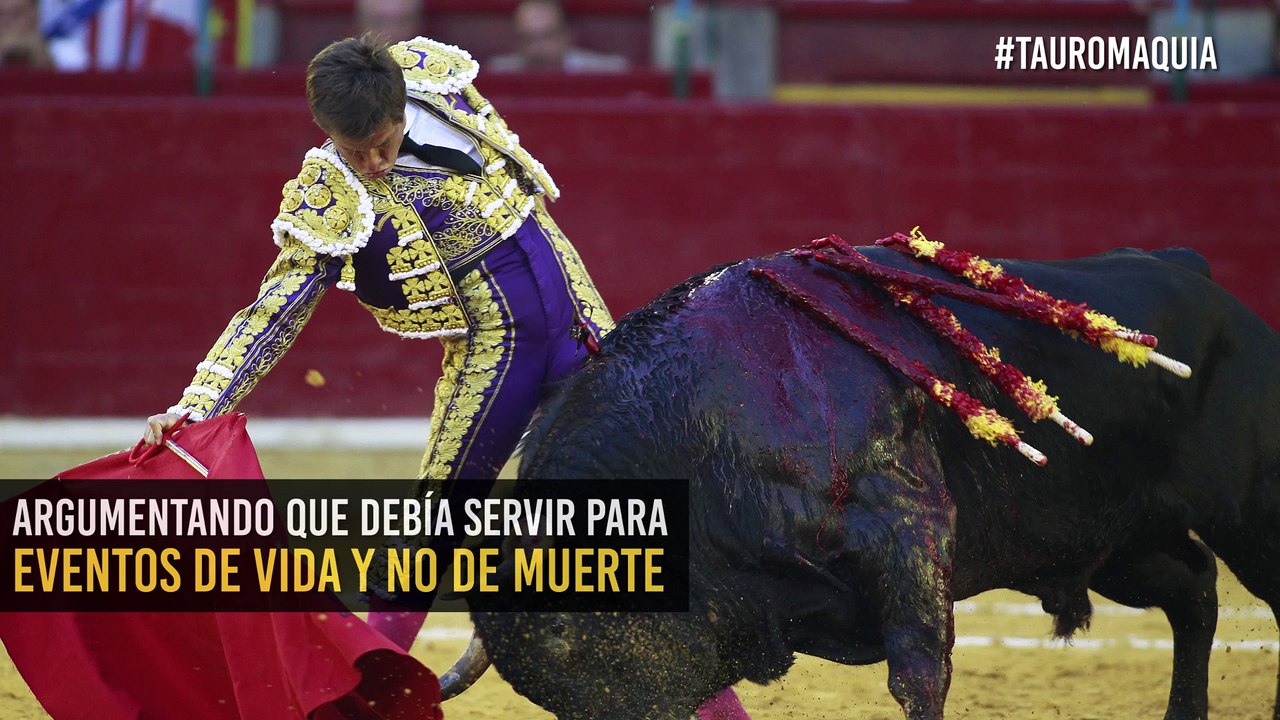 Entre gritos de protesta y aplausos: vuelven las corridas de toros a Bogotá