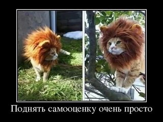 Смешные фото приколы #6