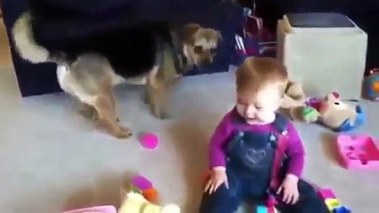 смешные приколы про животных #1