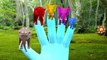 Animals Colors Elephant Shark Finger Family Nursery Rhymes | Animals Cartoons Gorilla Finger Family