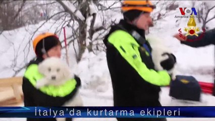 İtalya’da 3 Yavru Köpek Çığ Altından Kurtarıldı