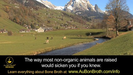 Why Choose Premium Organic Bone Broth for You and Your Family? The Difference is Clear!
