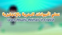 Aquatic Animals in English for Kids - الحيوانات للأطفال - حيوانات البحر باللغة الإنجليزية للاطفال