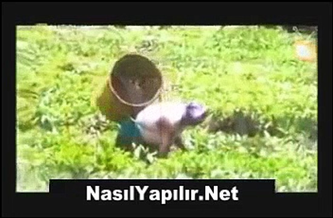 Poşet Çay Nasıl Yapılır? | Video Olay